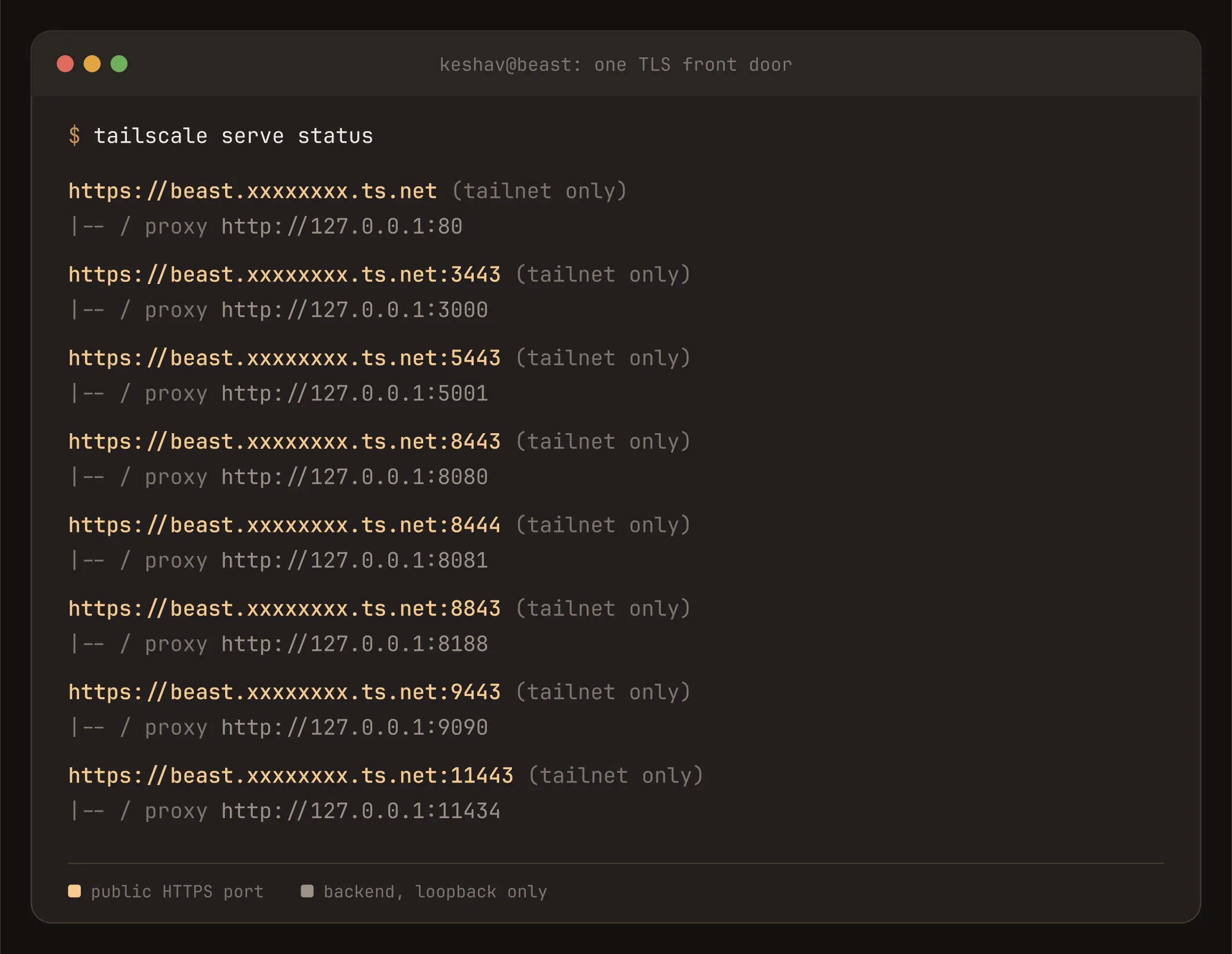 tailscale serve status: eight public HTTPS ports on the mesh hostname, each proxying to a different loopback backend. The tailnet name is redacted