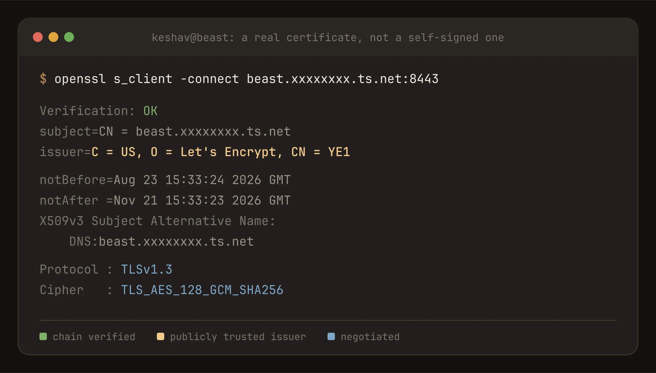 openssl s_client against the ledger port: verification OK, issuer Let's Encrypt, TLS 1.3, with the hostname redacted